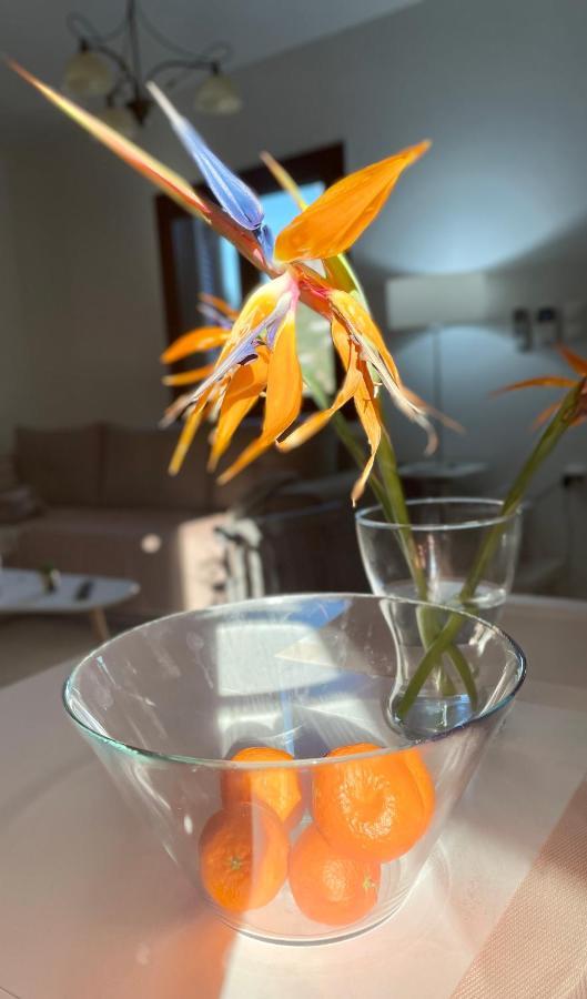 Pearls Of Crete - Holiday Residences Makrýgialos 外观 照片